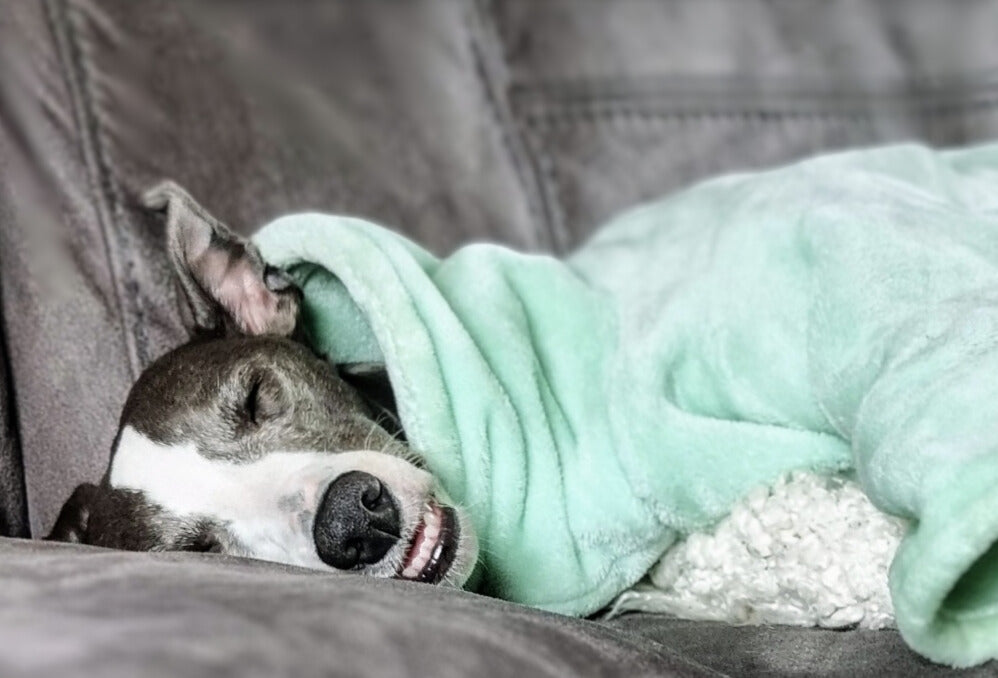 Peppermint fleece