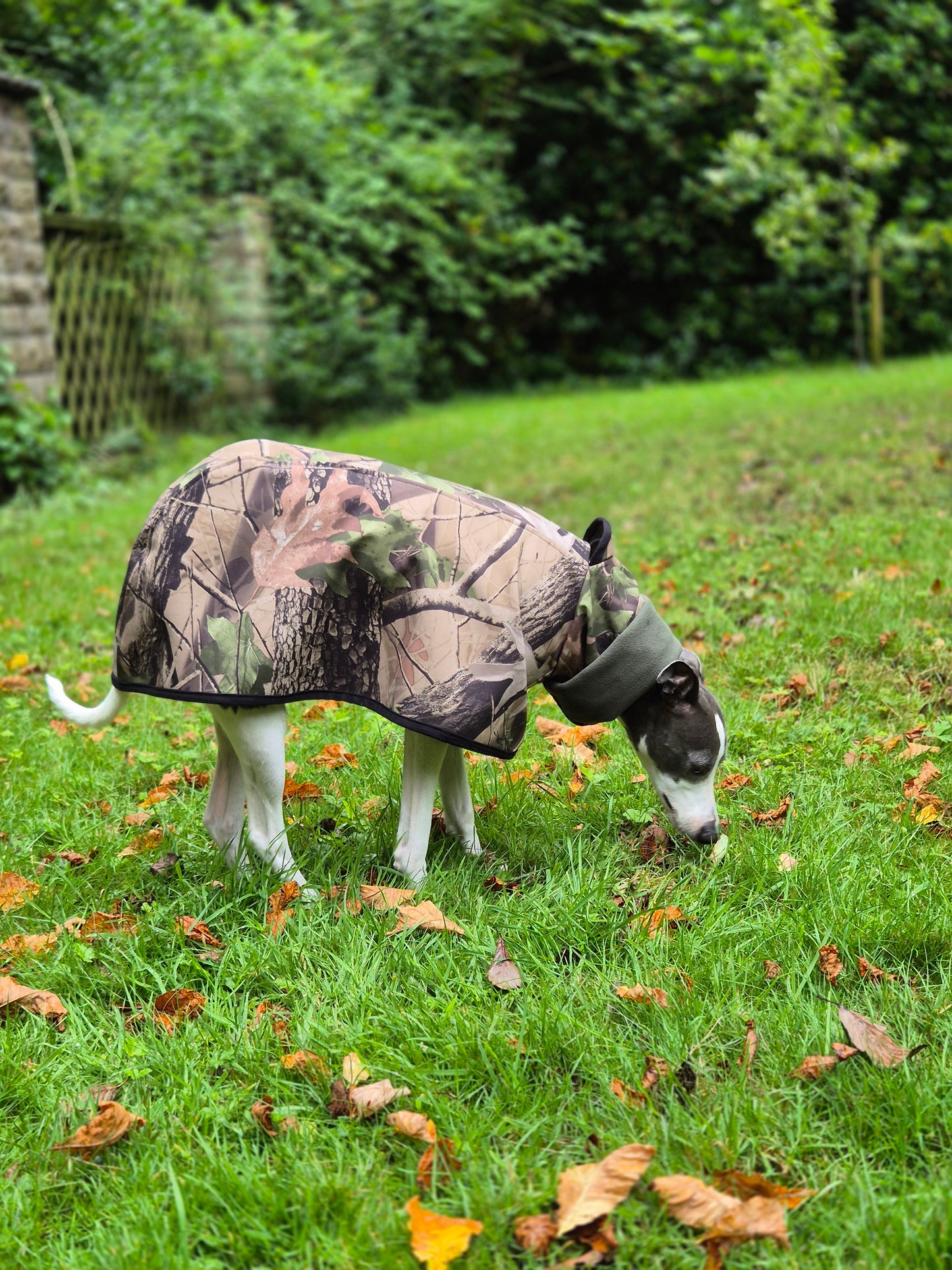 Cape coat - available in various colours