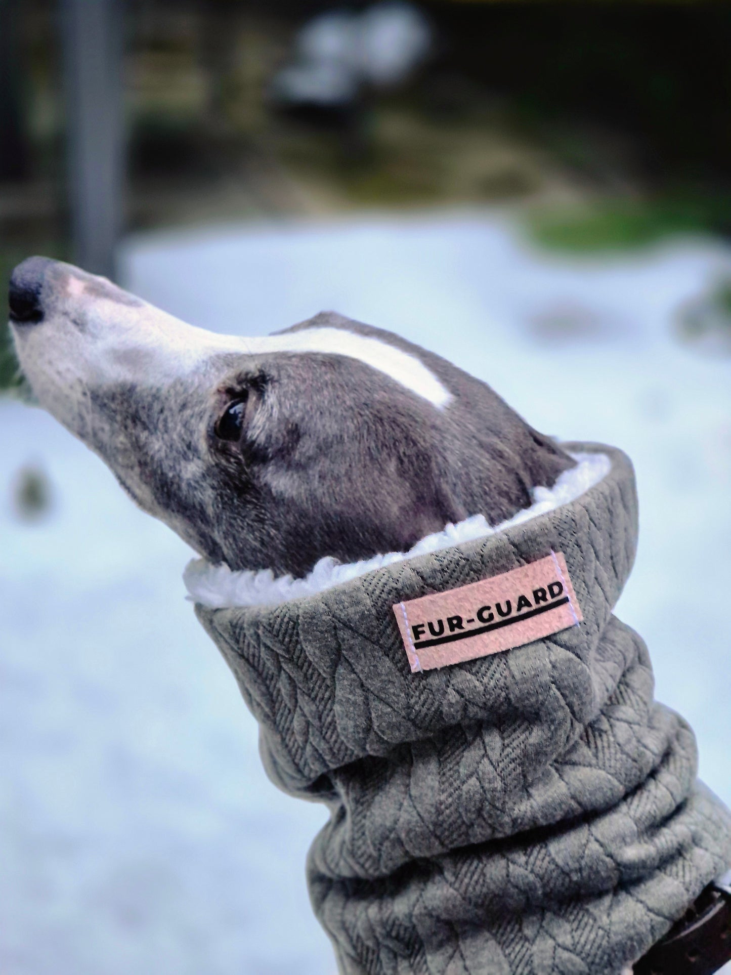 Sighthound snood