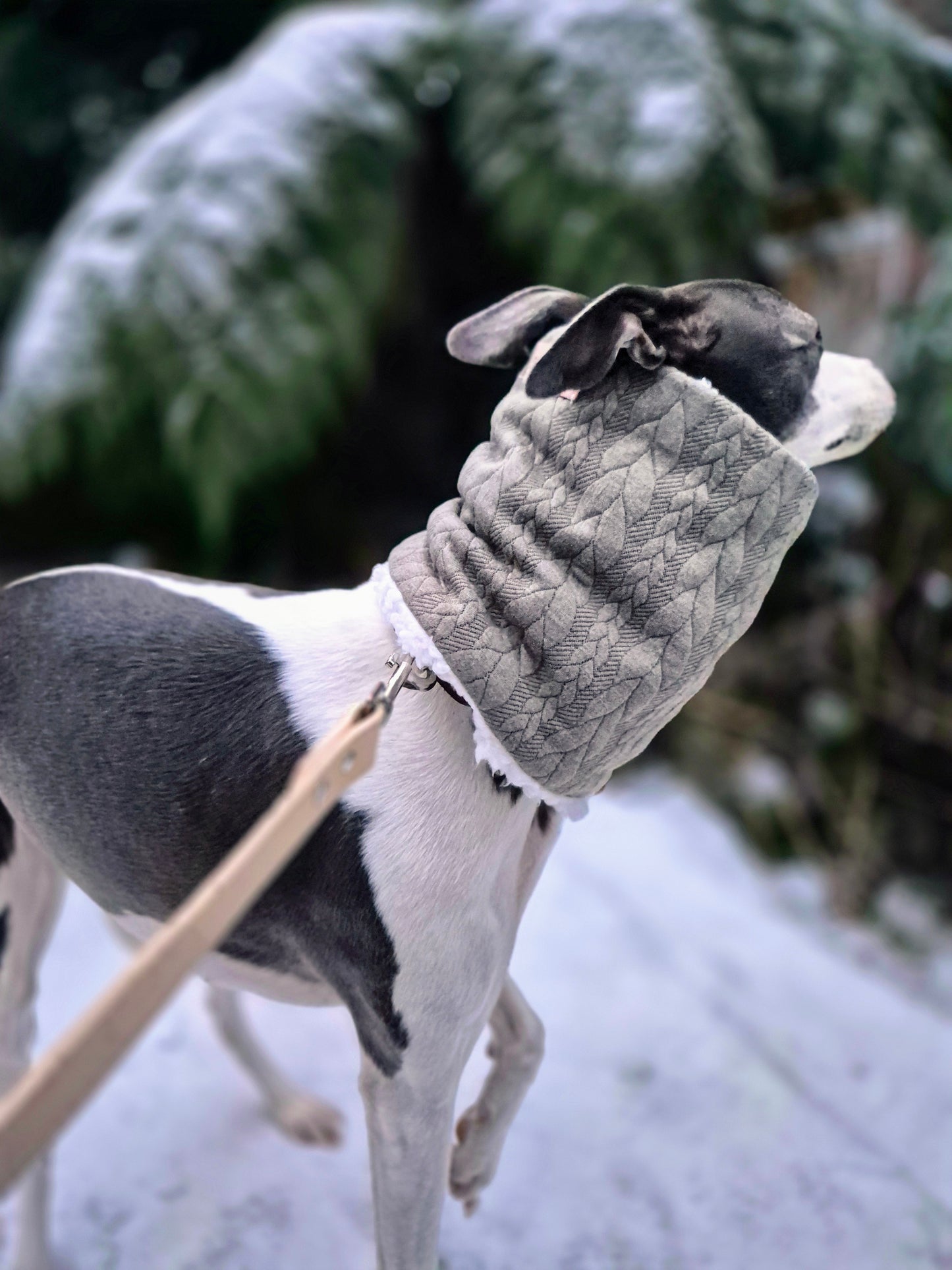 Sighthound snood