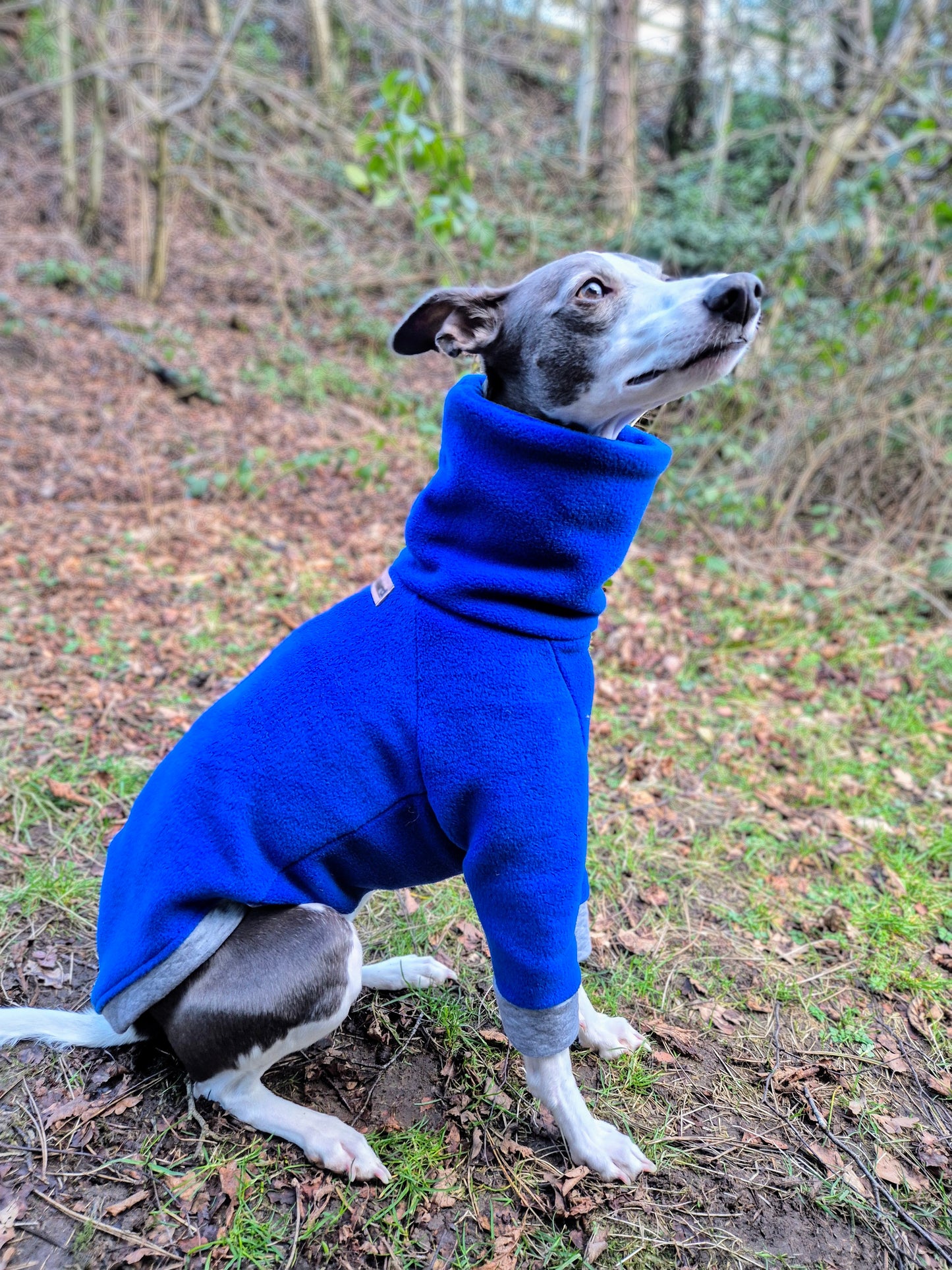 The Blue Iris jumper