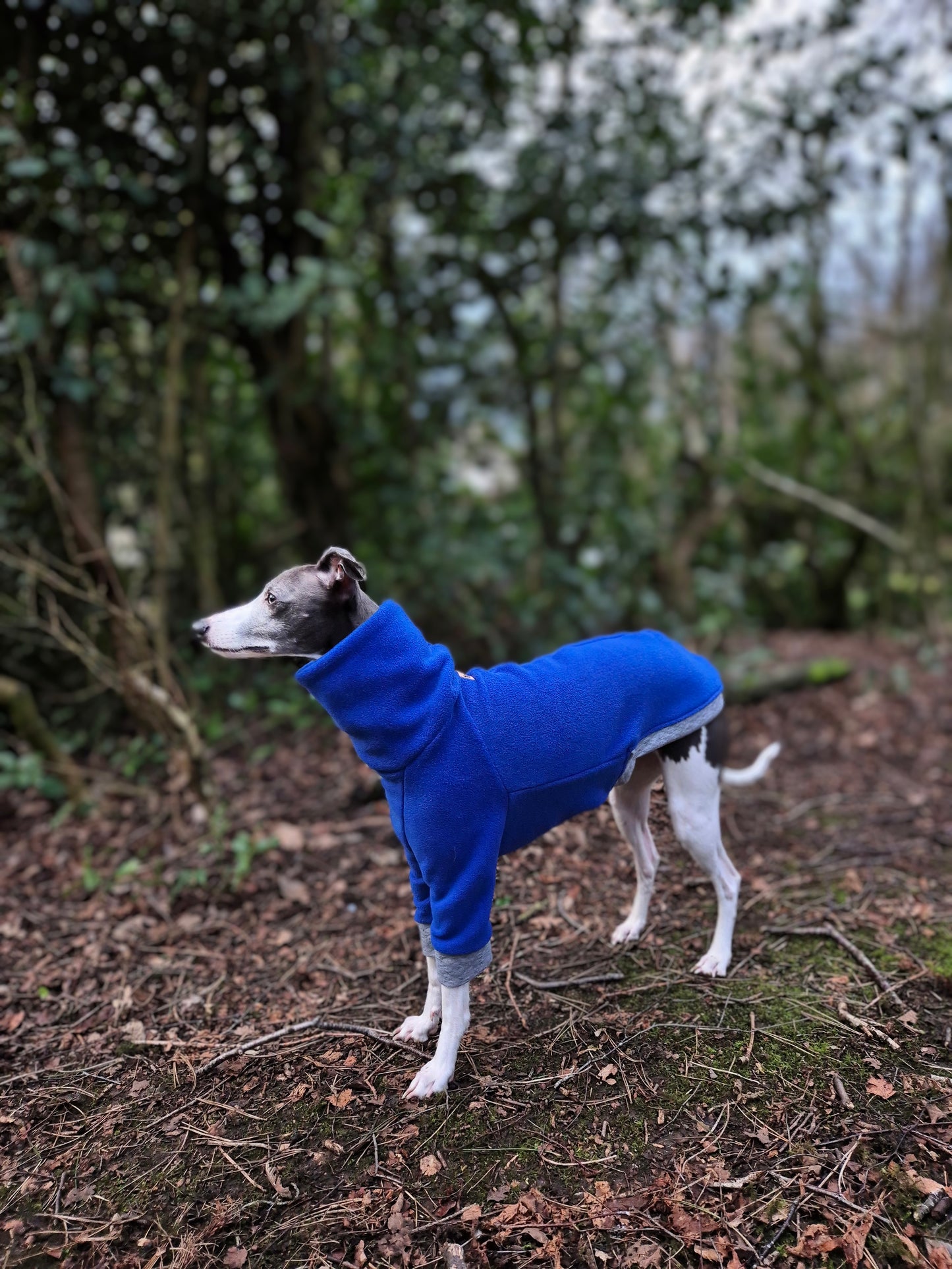 The Blue Iris jumper