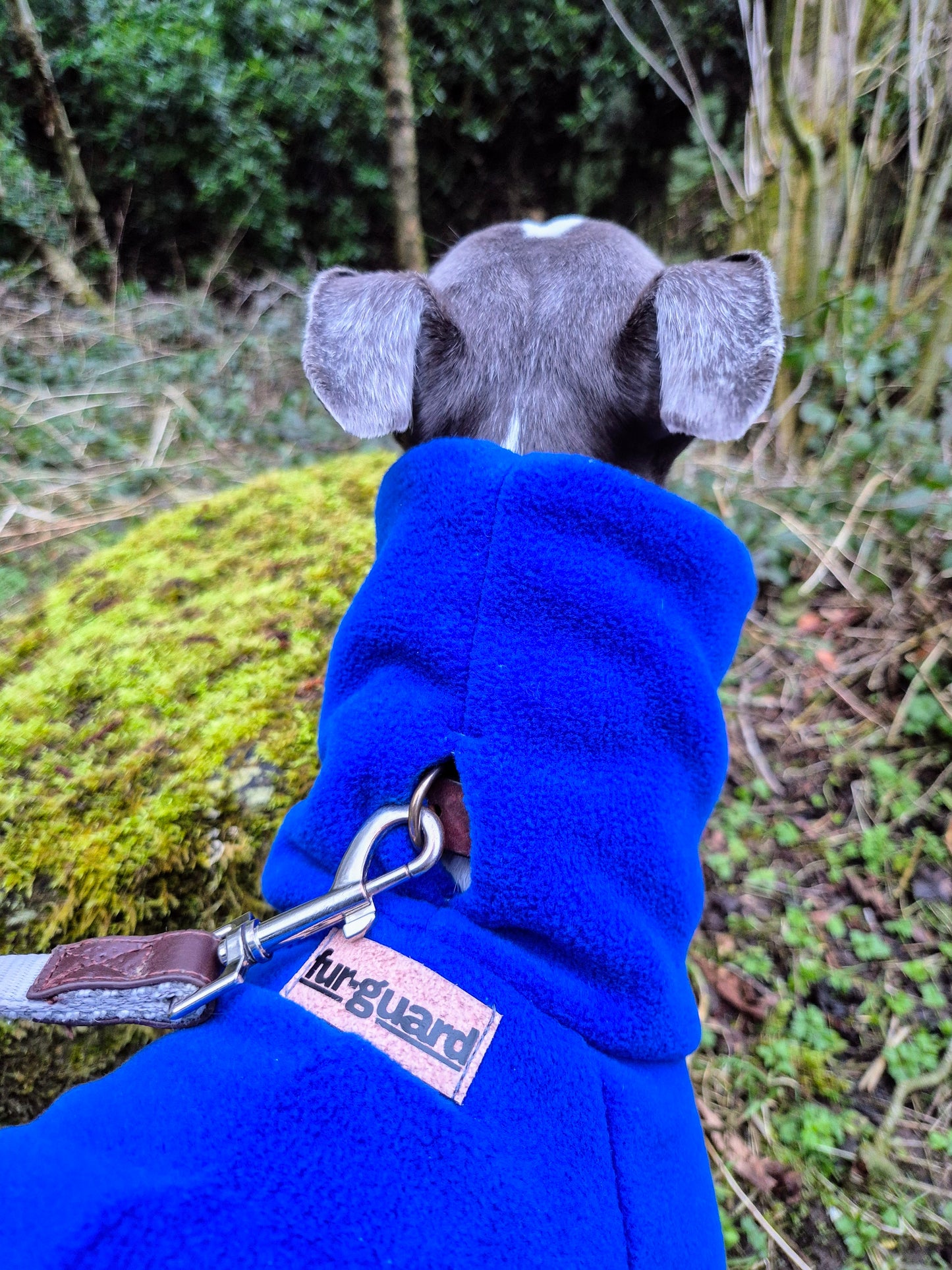 The Blue Iris jumper