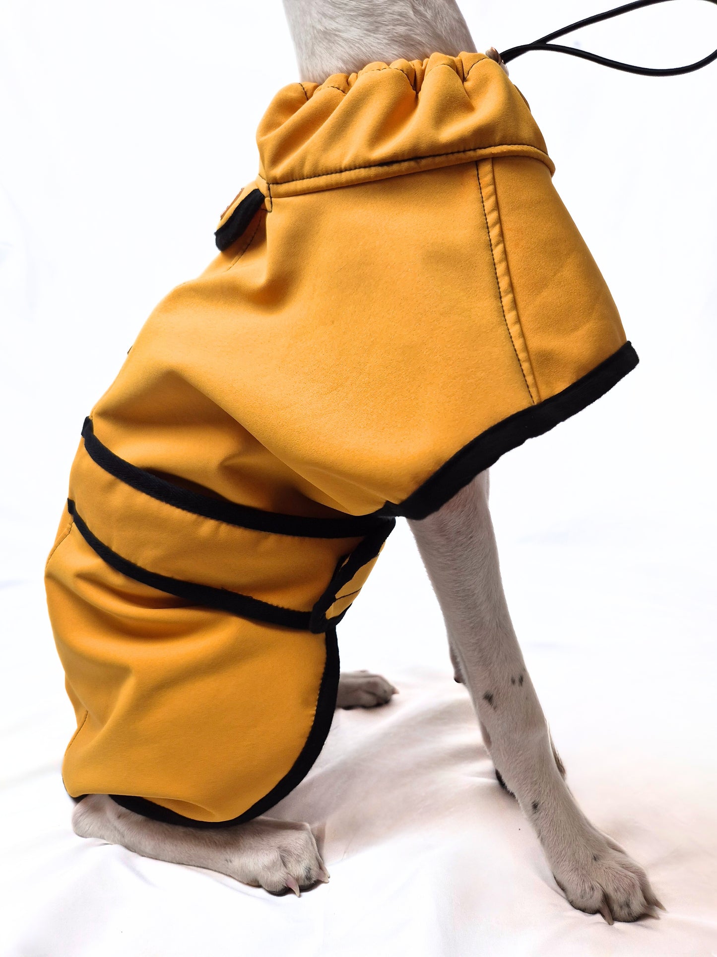 Multi Breed Coat