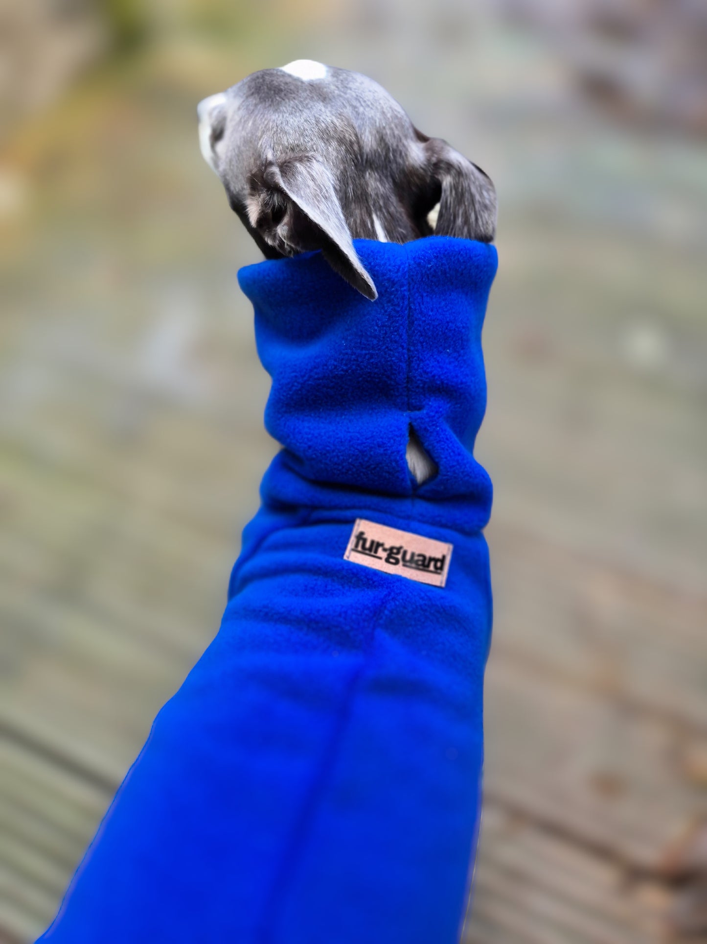 The Blue Iris jumper