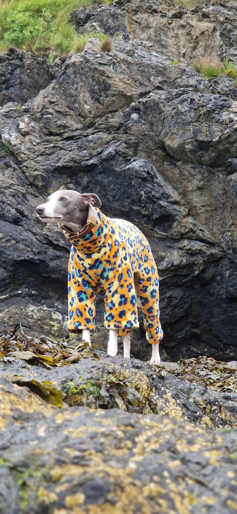 Leopard print fleece