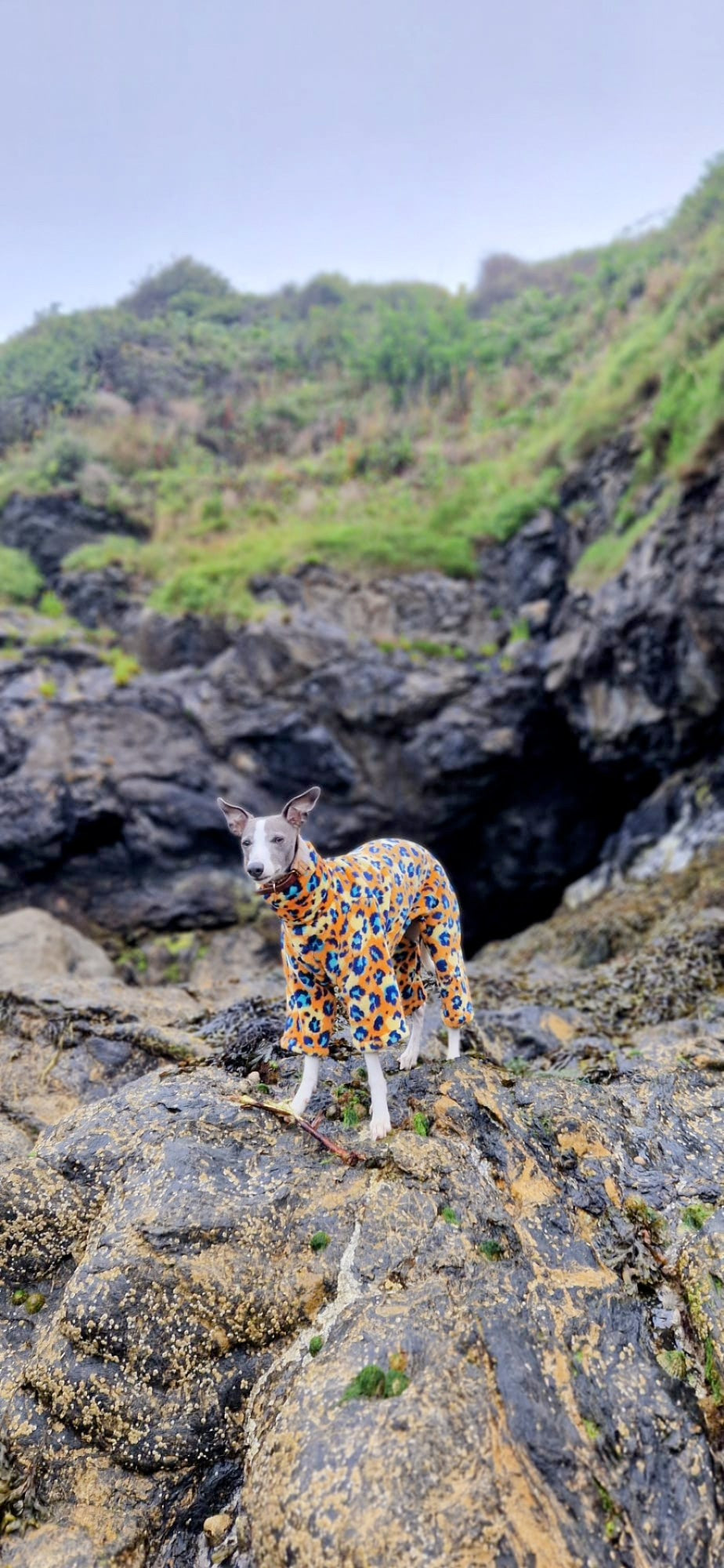 Leopard print fleece