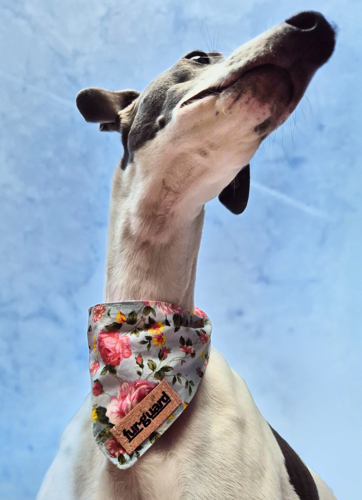 Blue and pink floral bandana