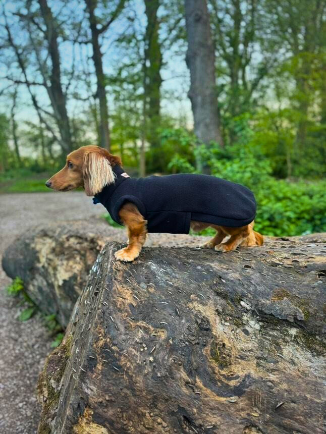 Dachshund *Made-To-Measure* fleece