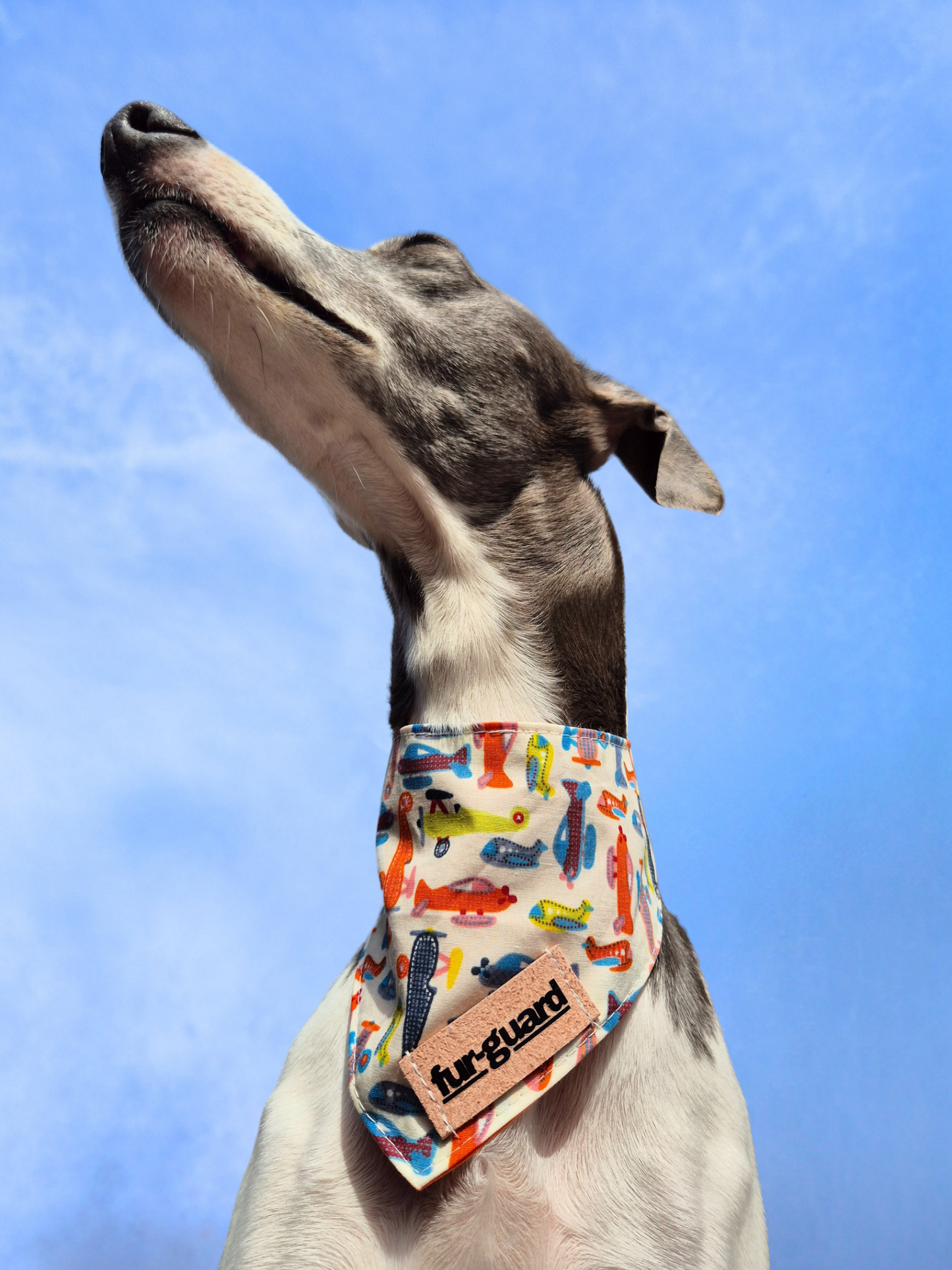 Aeroplane bandana