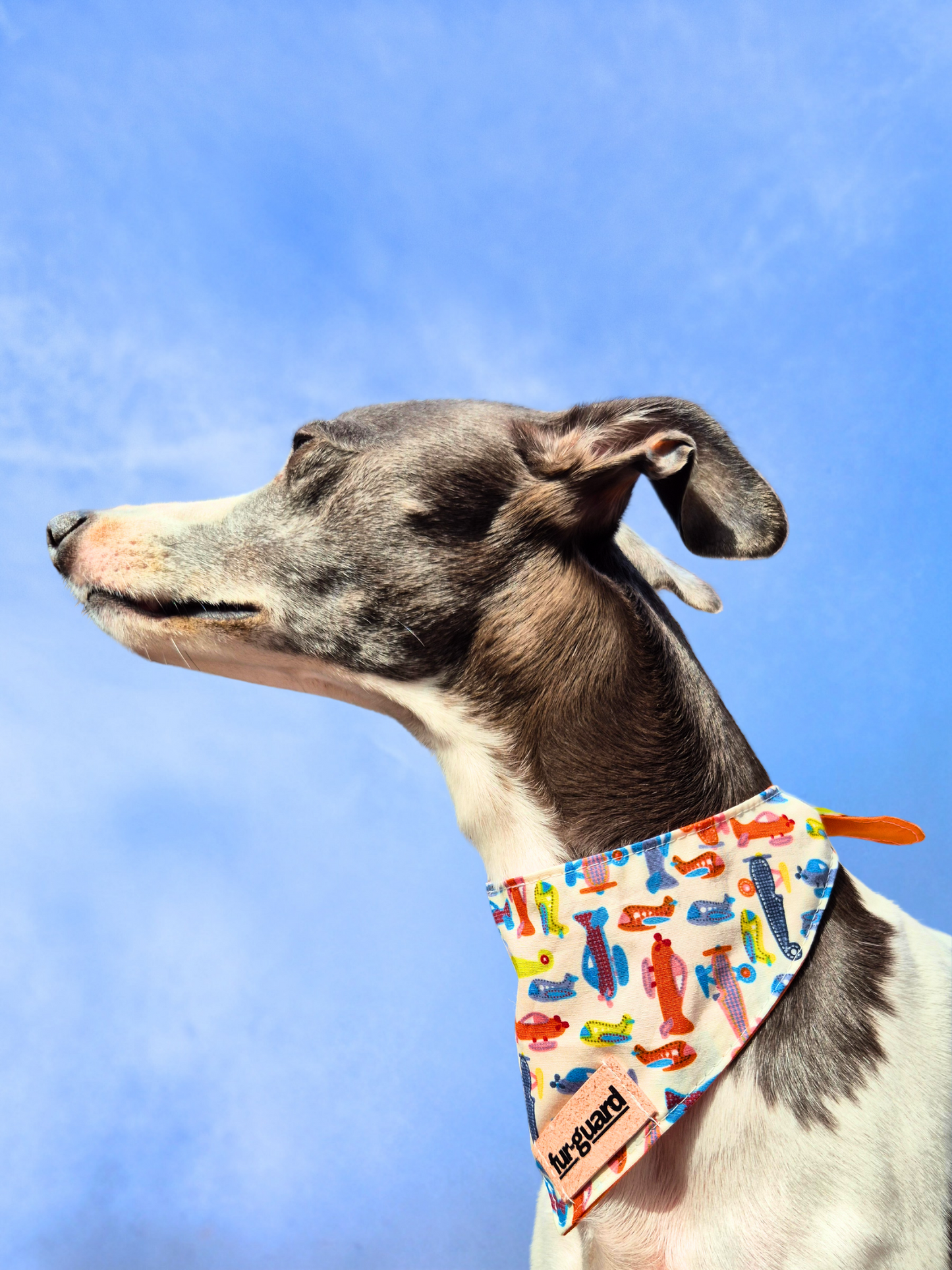 Aeroplane bandana