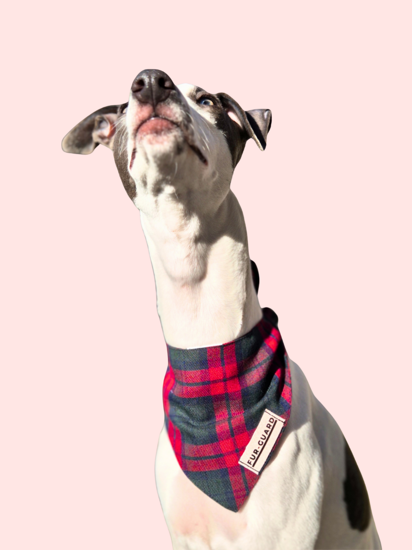 Red and green plaid bandana