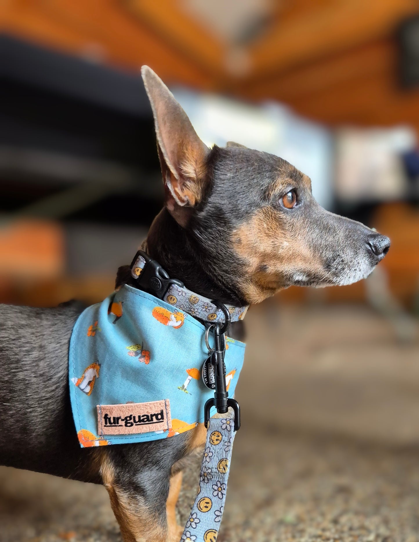 Fox Bandana