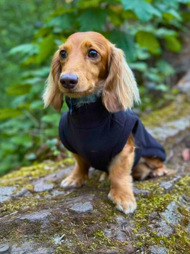 Dachshund *Made-To-Measure* fleece