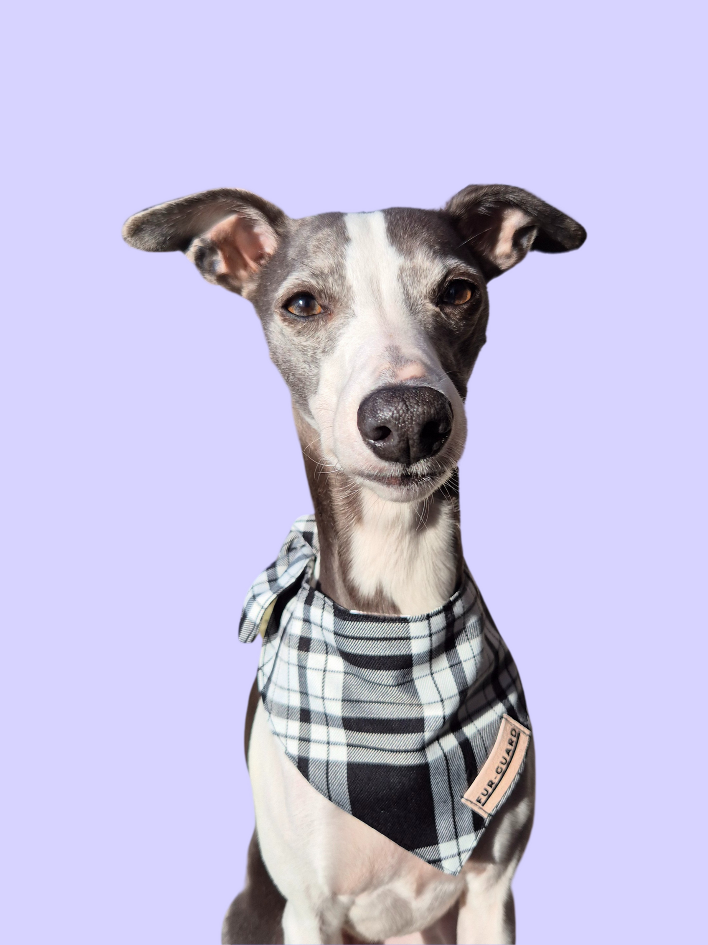 Black and white checkered bandana