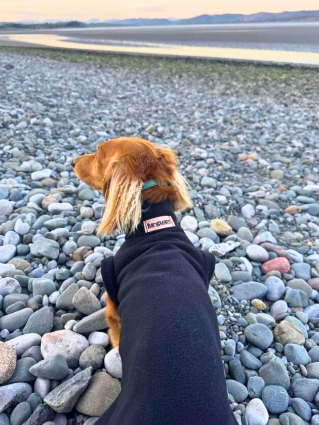 Dachshund *Made-To-Measure* fleece
