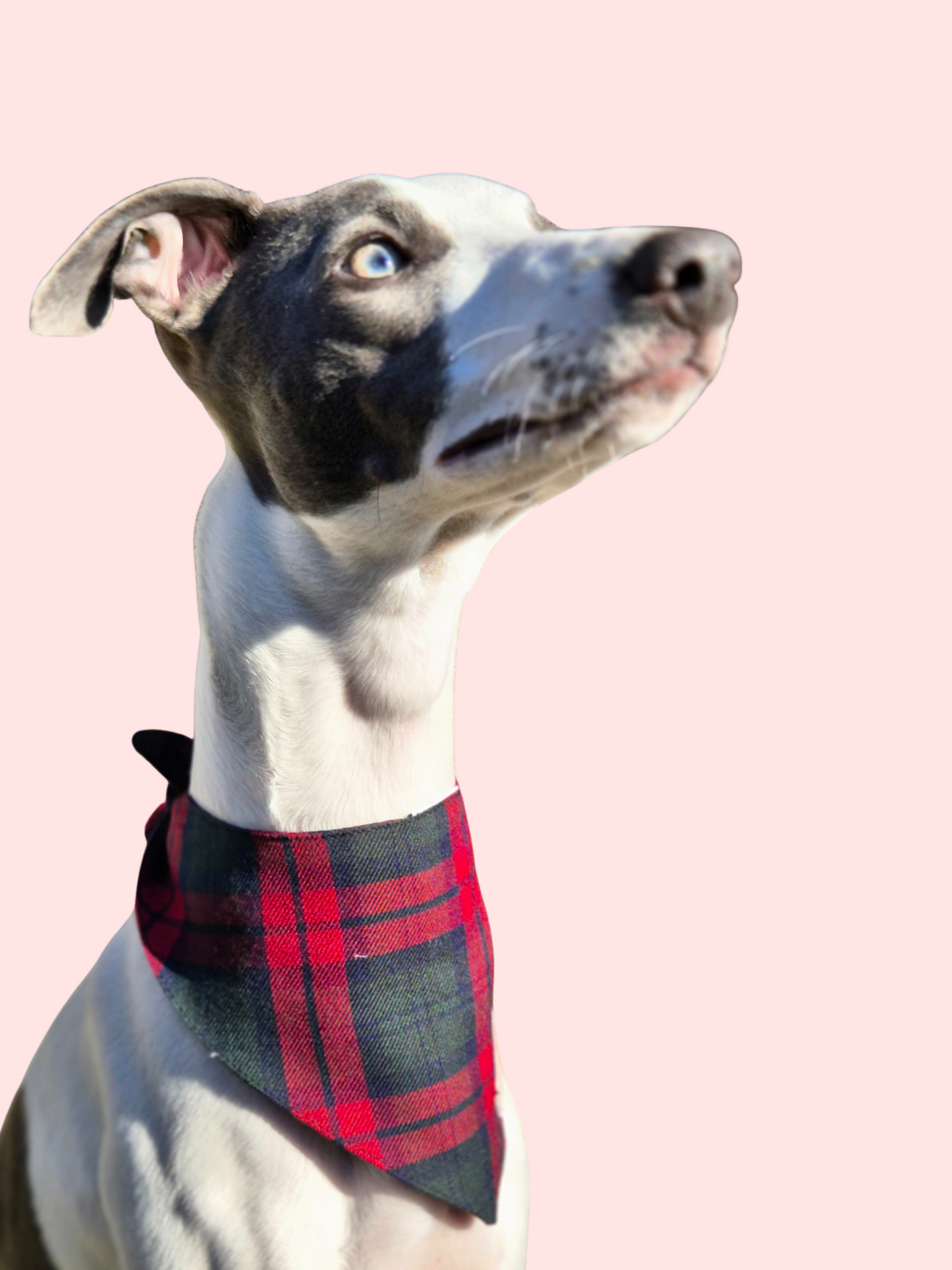 Red and green plaid bandana