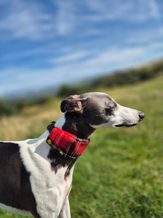 Tartan collar cover