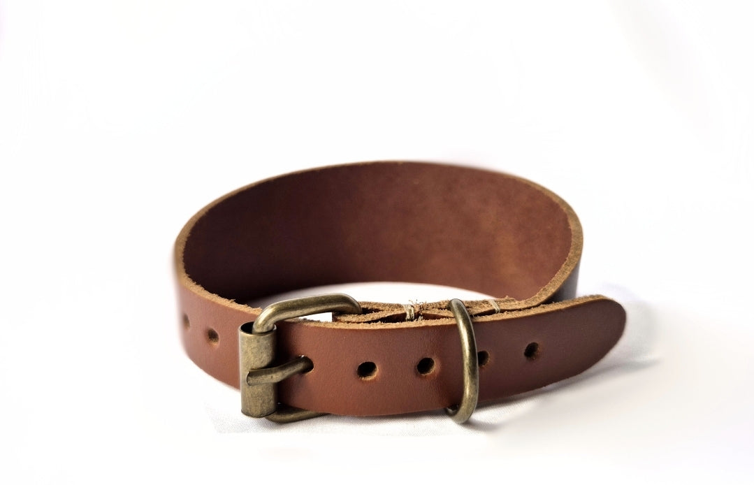 Brown collar (different shades available) - medium