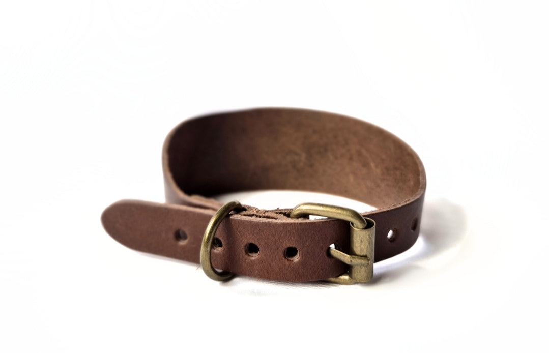 Brown collar (different shades available) - medium