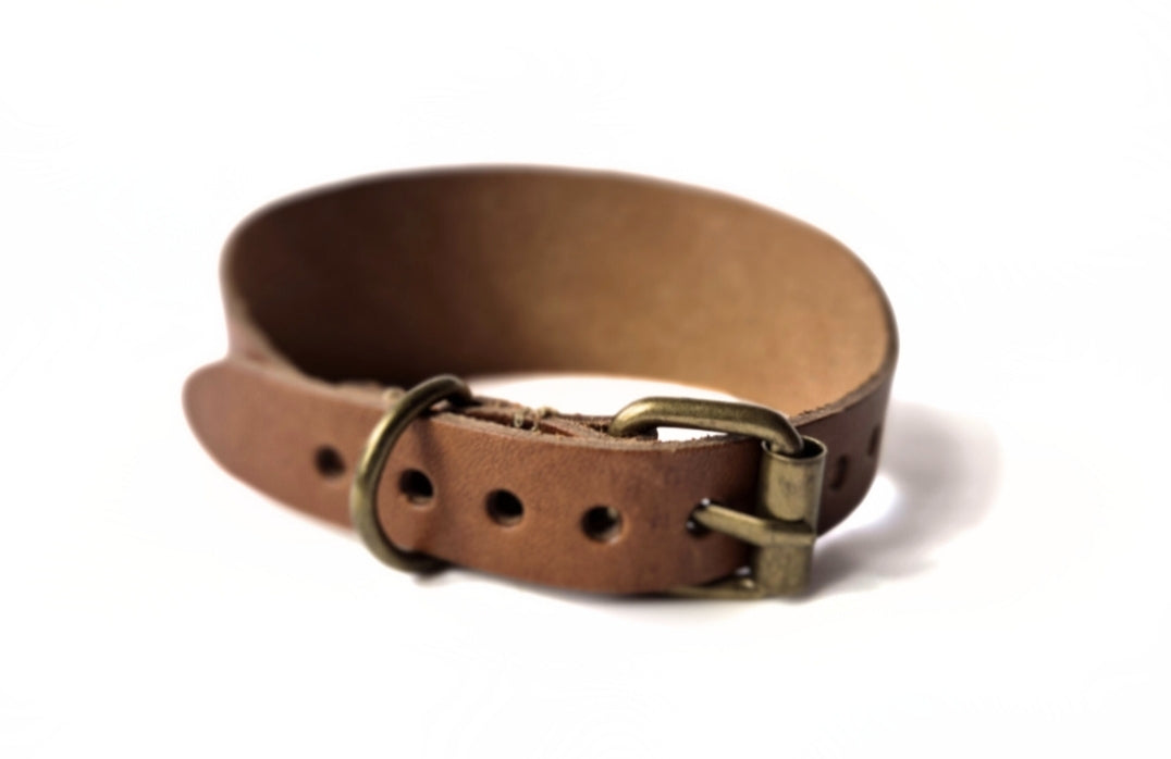 Brown collar (different shades available) - medium