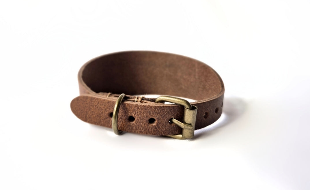 Brown collar (different shades available) - medium