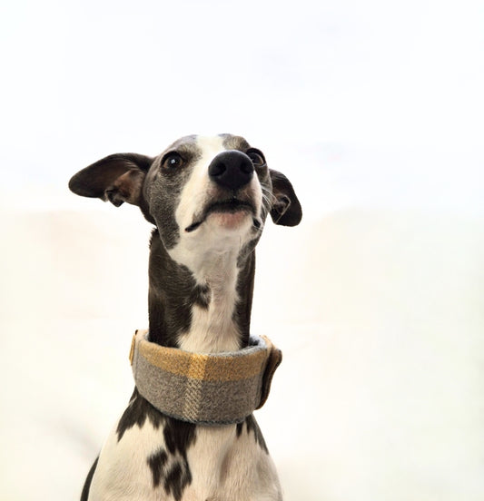 Peach and grey collar cover