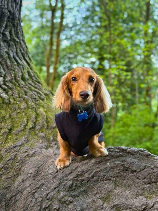 Dachshund *Made-To-Measure* fleece