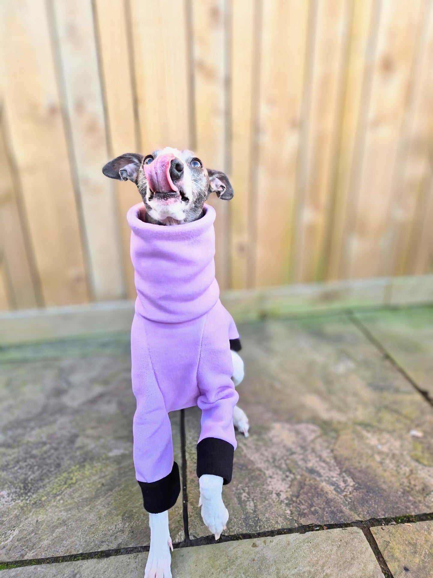 The Lilac Pasiflora jumper