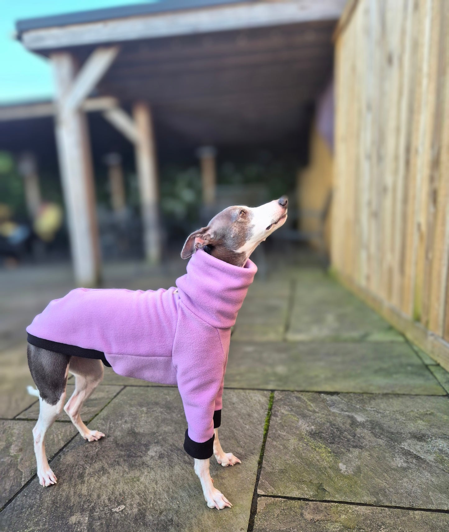 The Lilac Pasiflora jumper