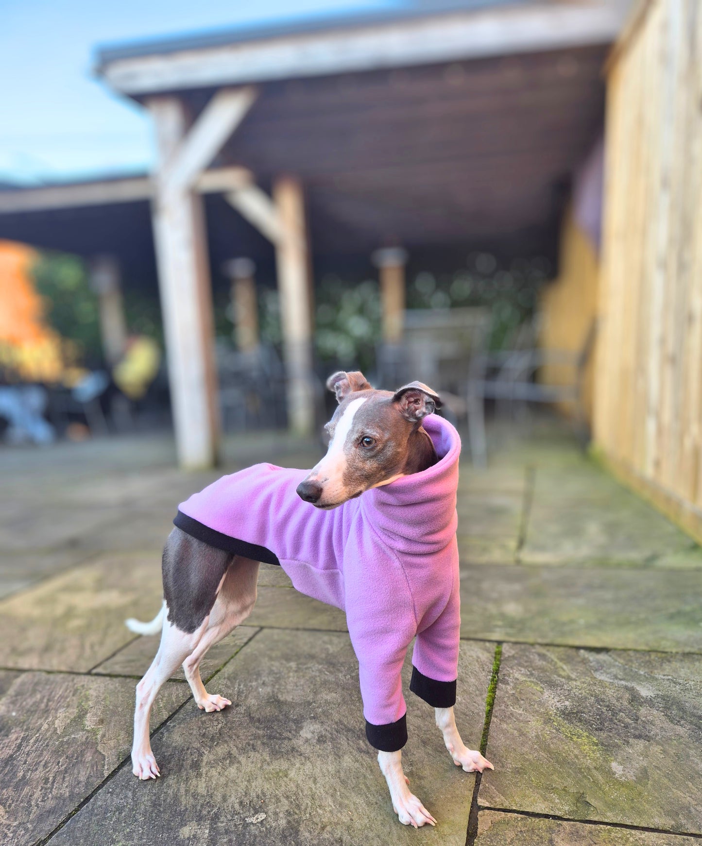 The Lilac Pasiflora jumper