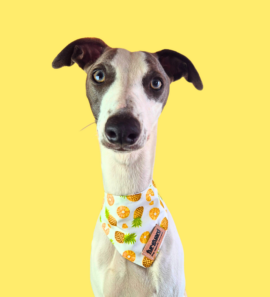 Pineapple bandana